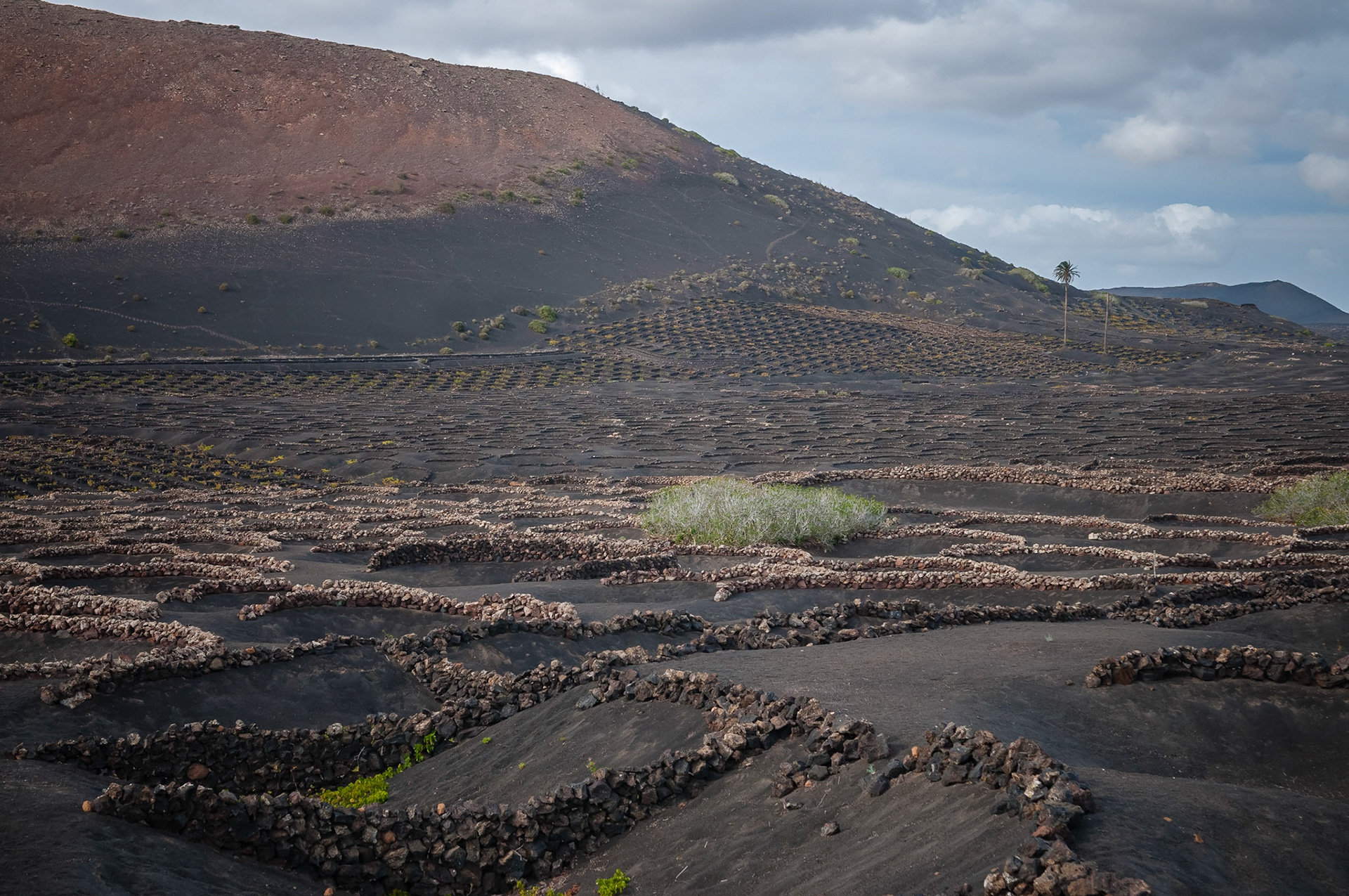 La Geria, Lanzarote