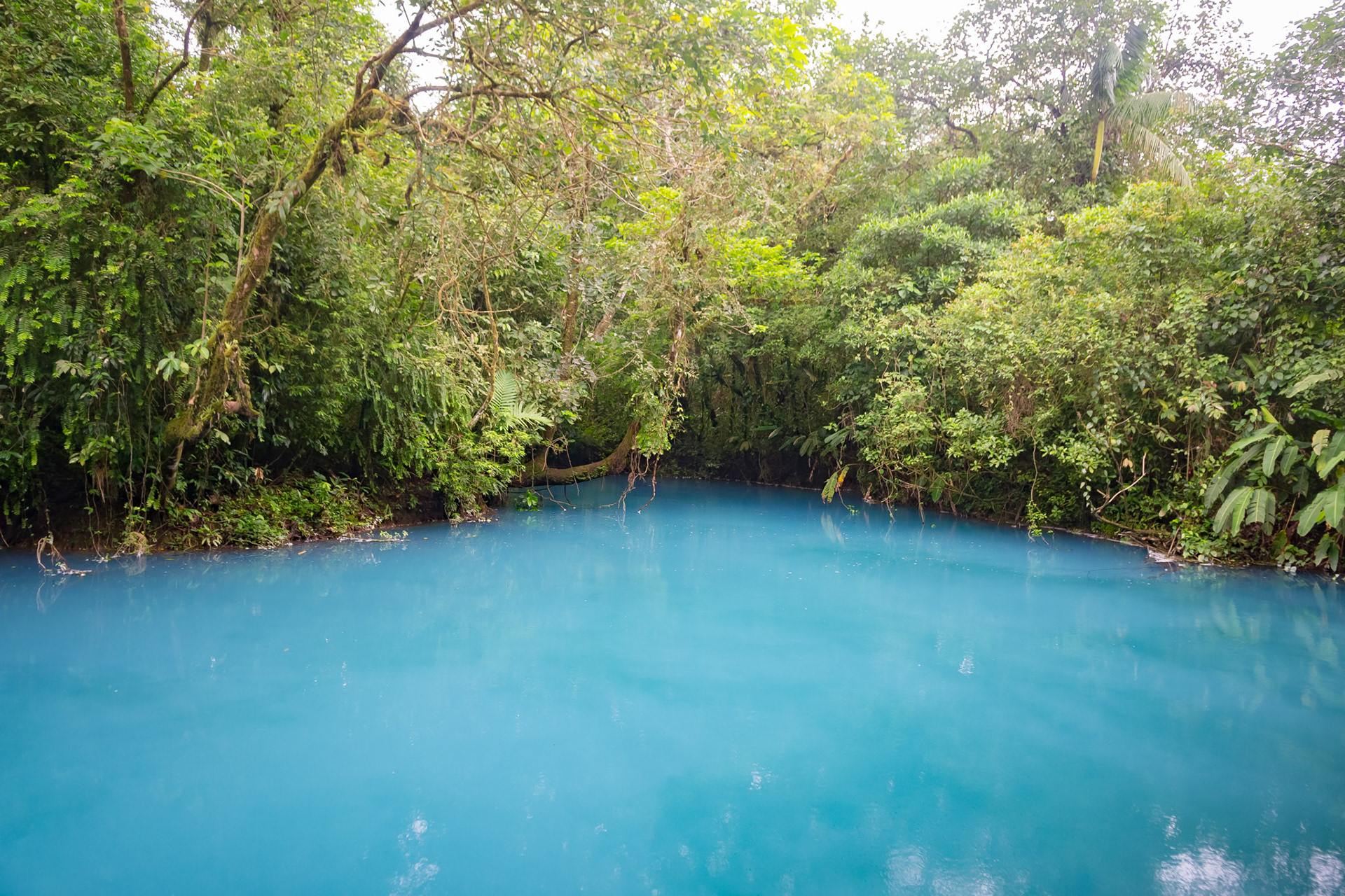 Parque National Volcan Tenorio