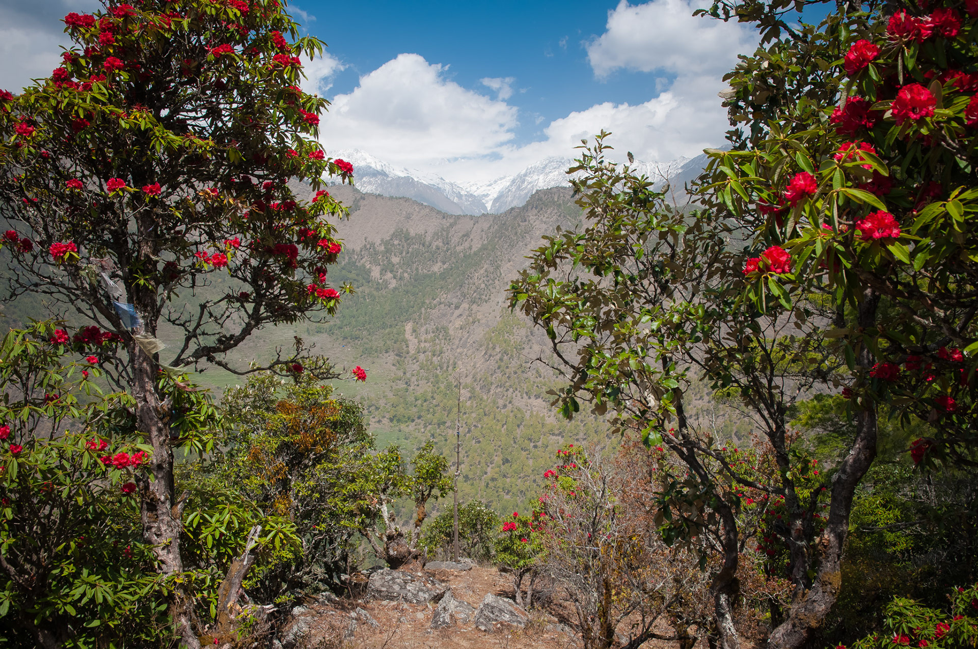 Entre Dhunche (1960m) et Thulo Syabru (2210m)