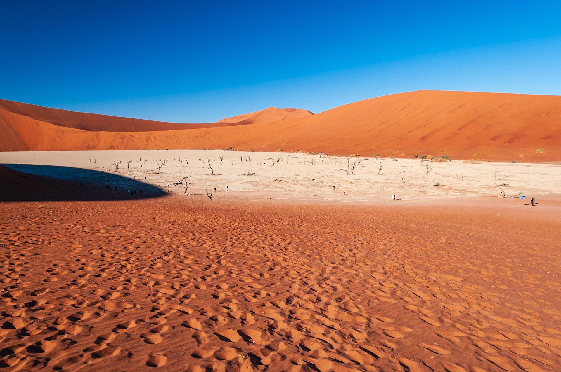 Dead Vlei, Sossusvlei