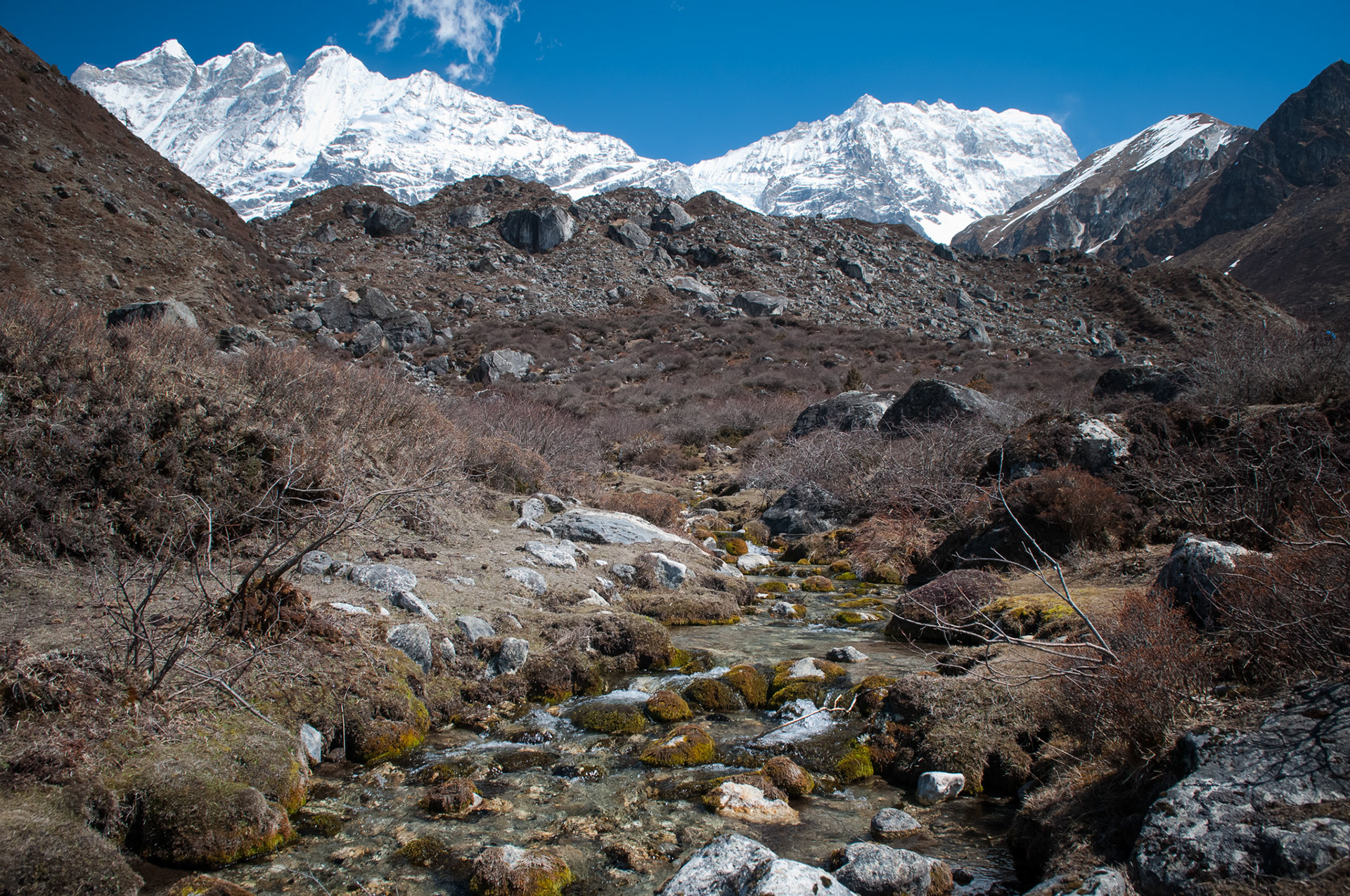 Entre Langtang (3430m) et Kyanjin Gumba (3830m)