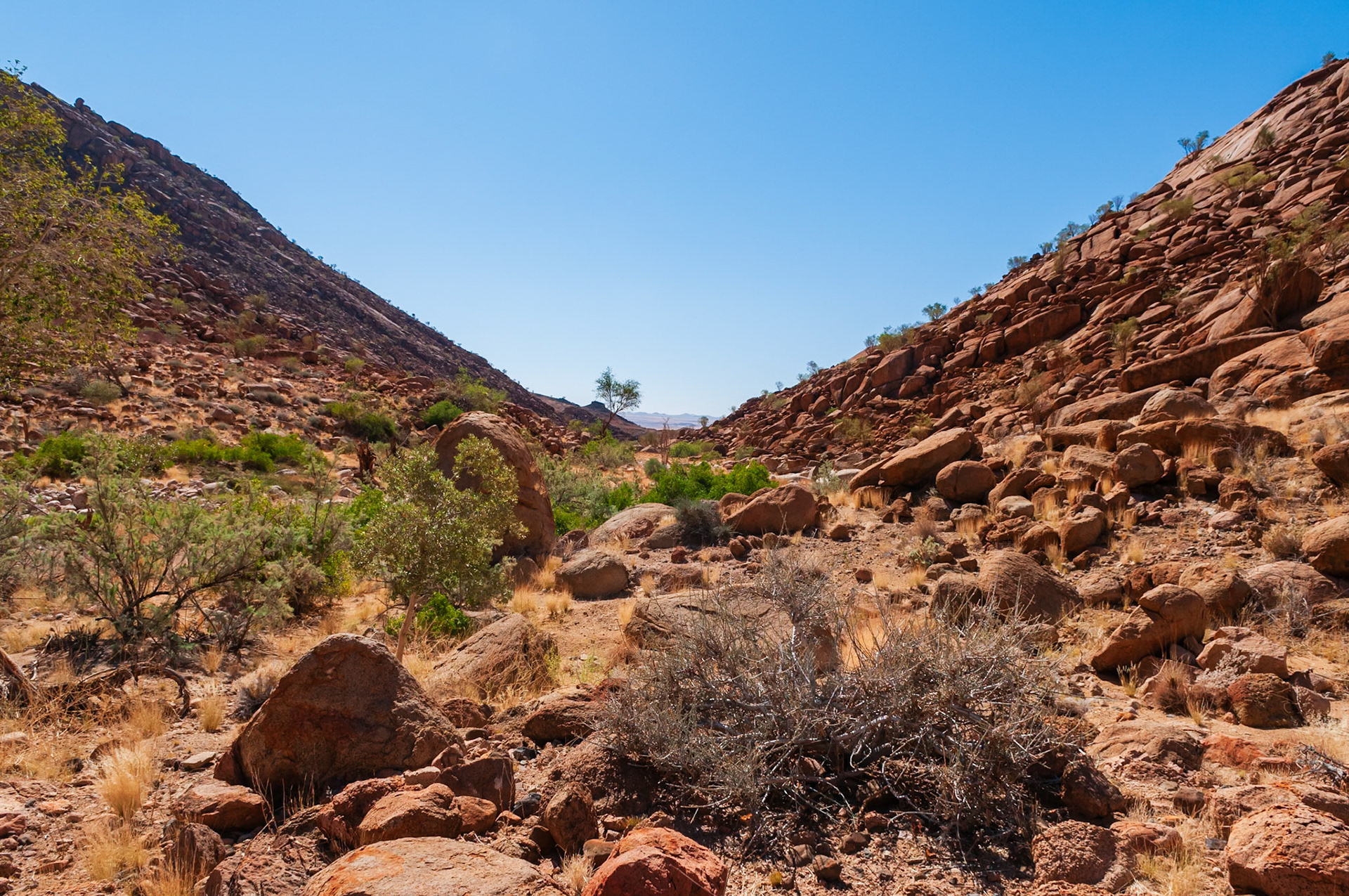 White Lady Painting, Brandberg, Damaraland