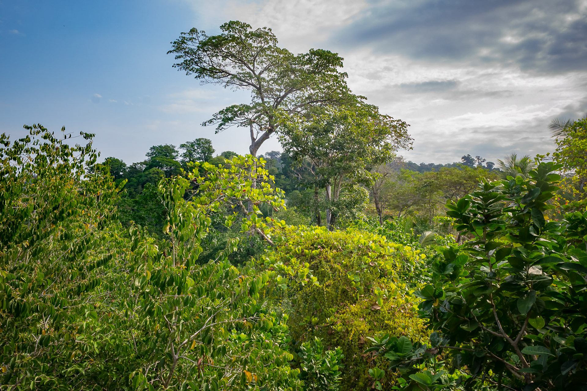 Parque Nacional Manuel Antonio