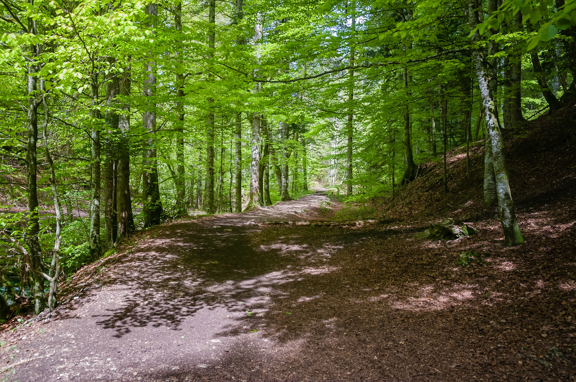 Source bleue, France