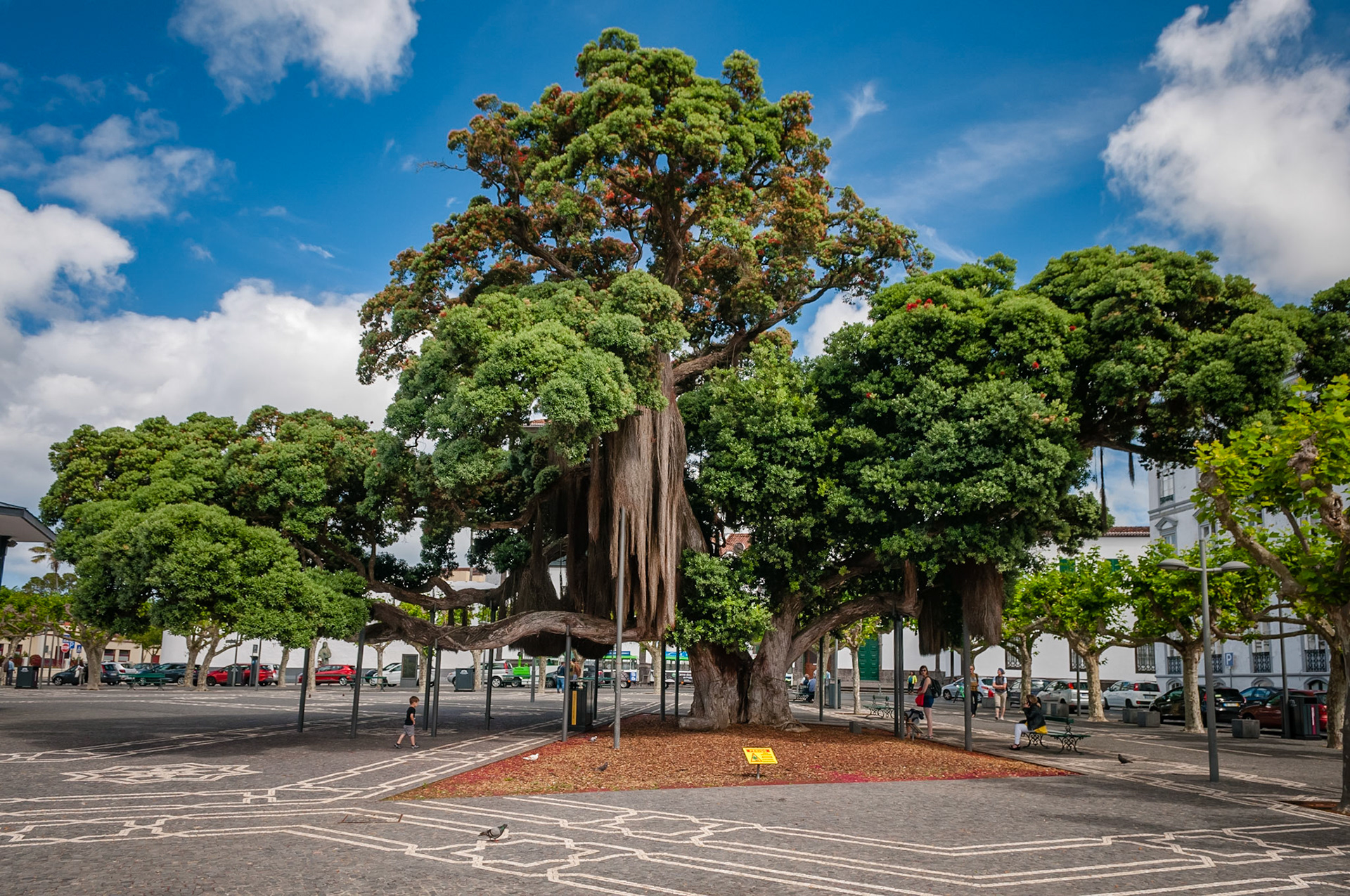 Ponta Delgada, São Miguel