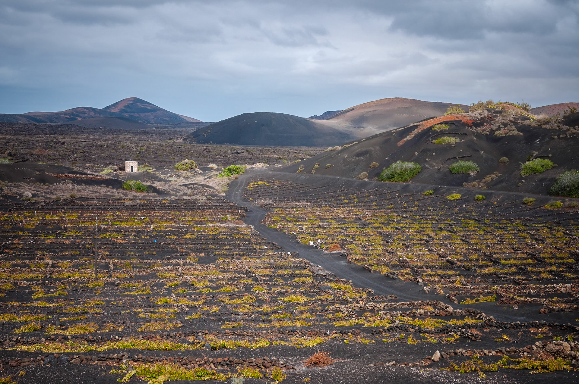 La Geria, Lanzarote