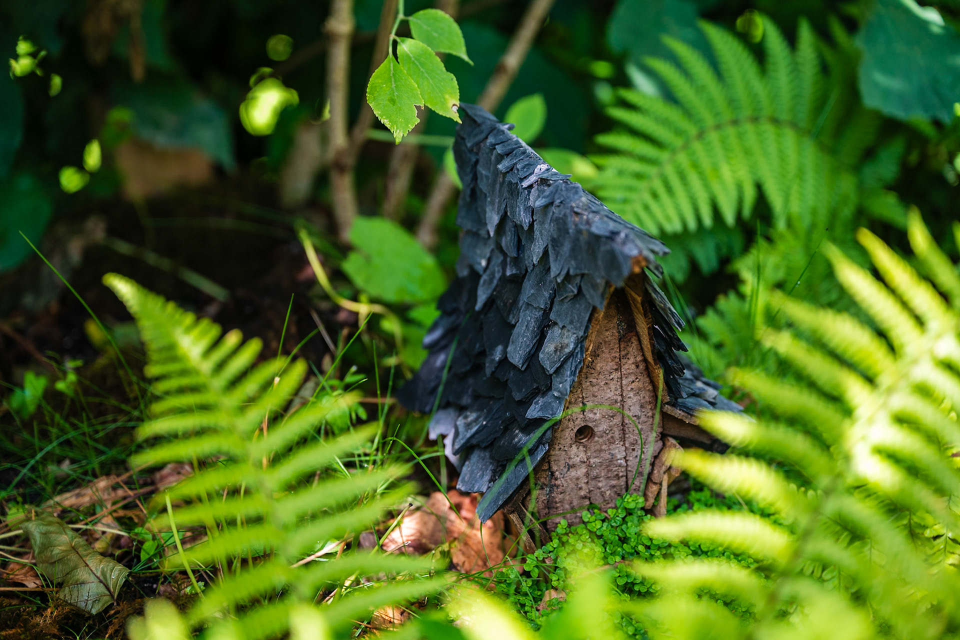 Domaine de Chaumont-sur-Loire