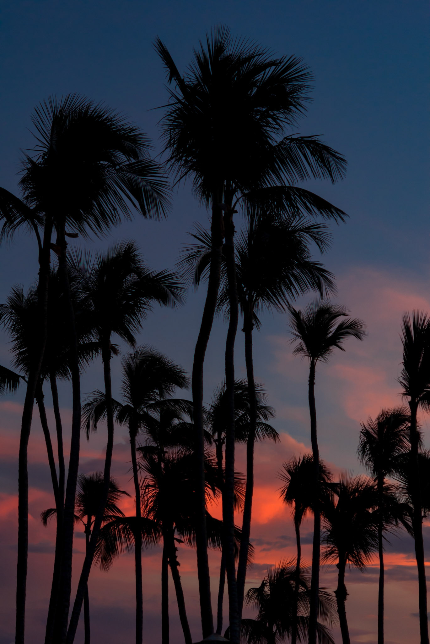 Club Med Punta Cana, République Dominicaine