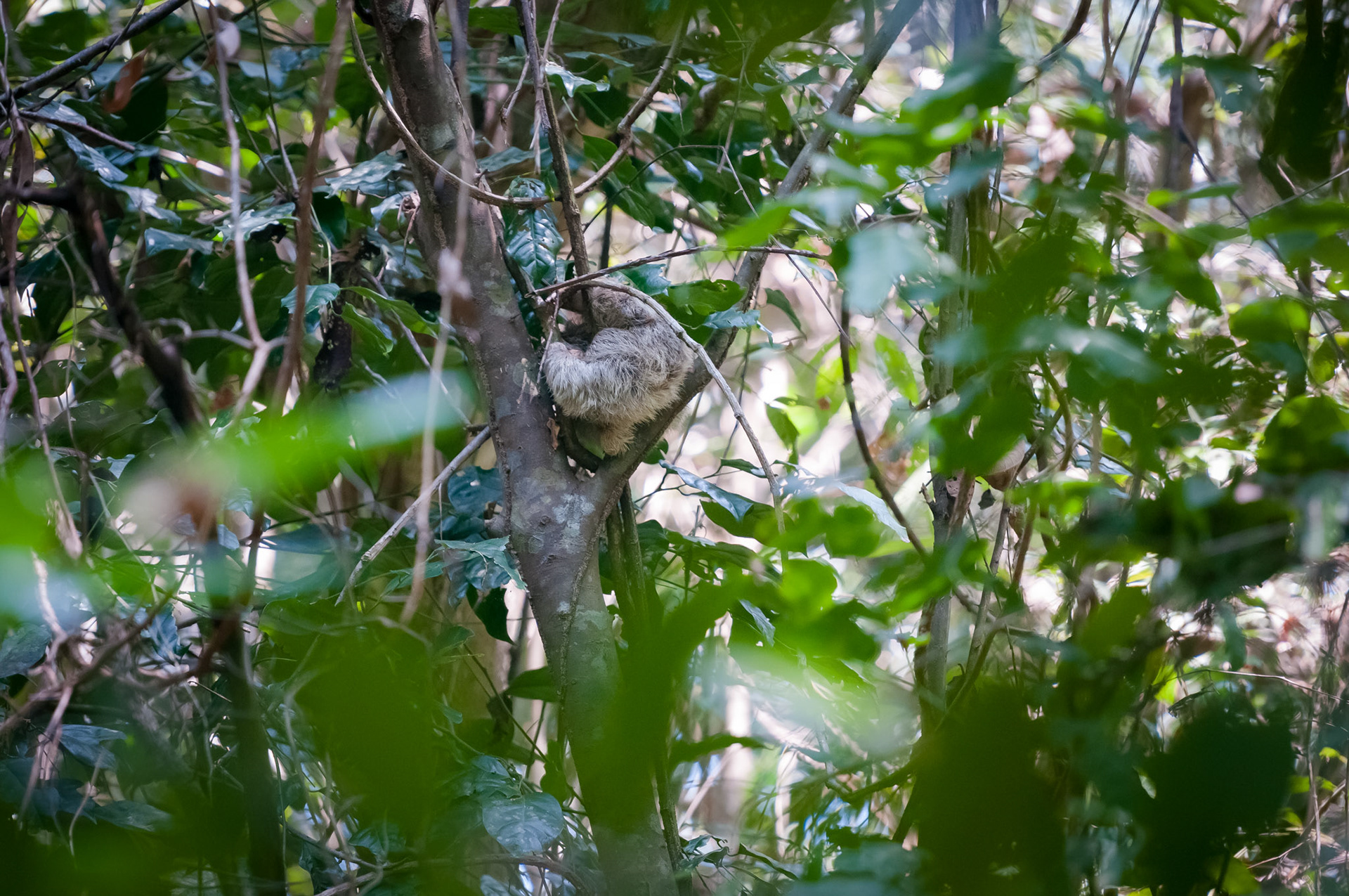 Parque Nacional Manuel Antonio