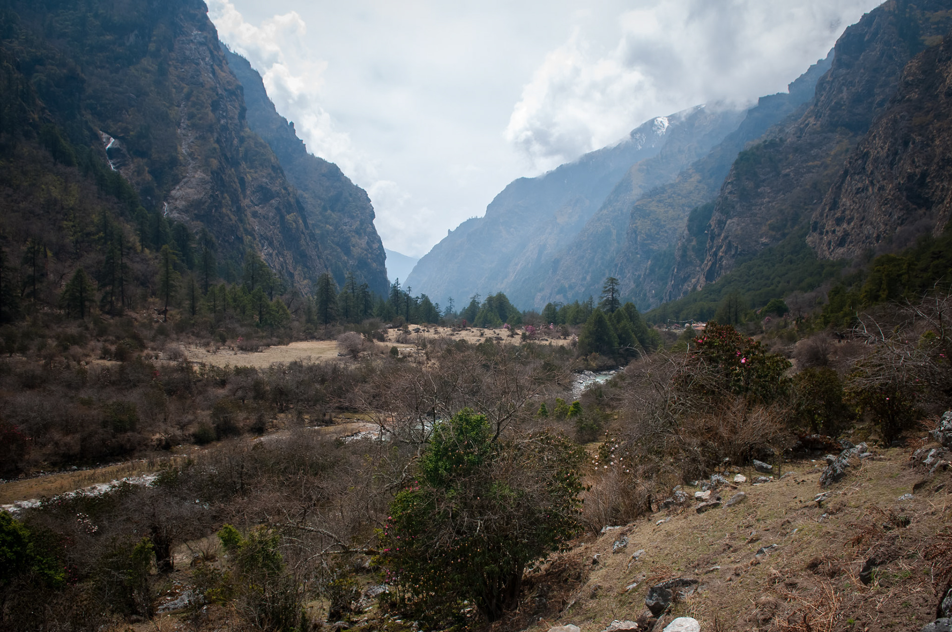 Entre Lama Hotel (2410m) et Langtang (3430m)