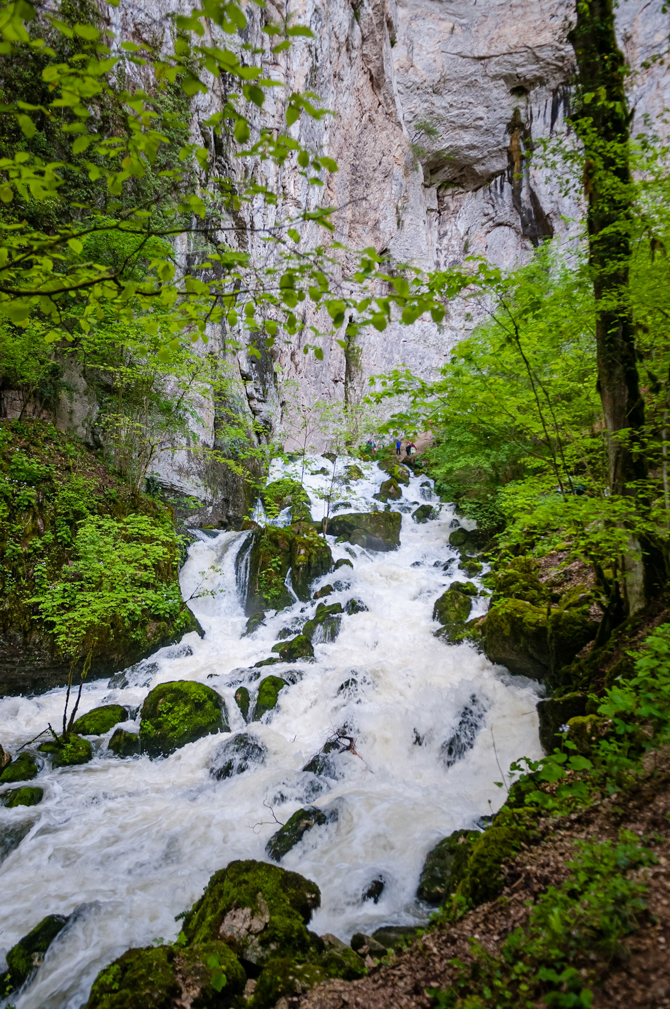 Grotte Sarrazine, Source du Lison, France
