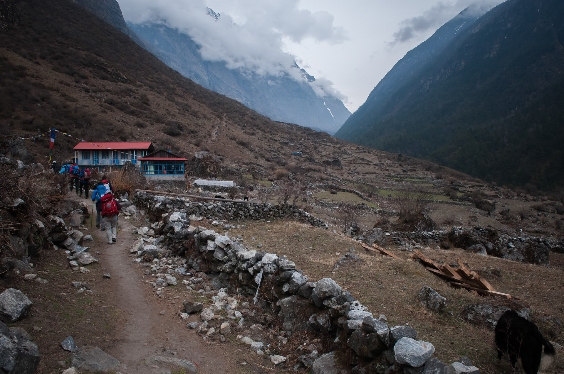 Entre Lama Hotel (2410m) et Langtang (3430m)