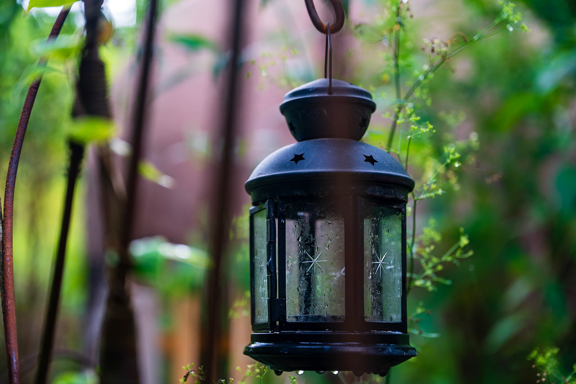 Domaine de Chaumont-sur-Loire