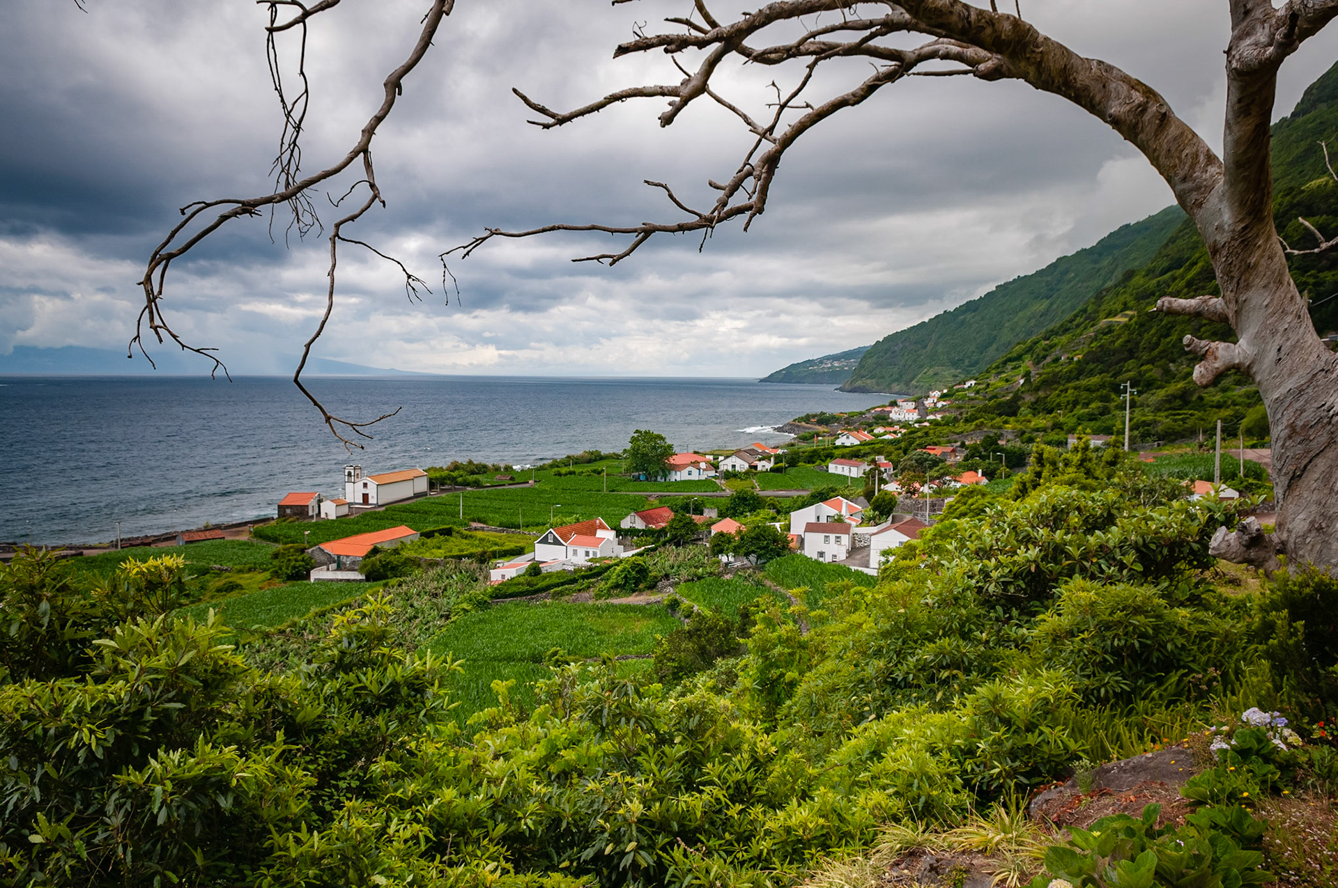 Fajã dos Vimes, São Jorge