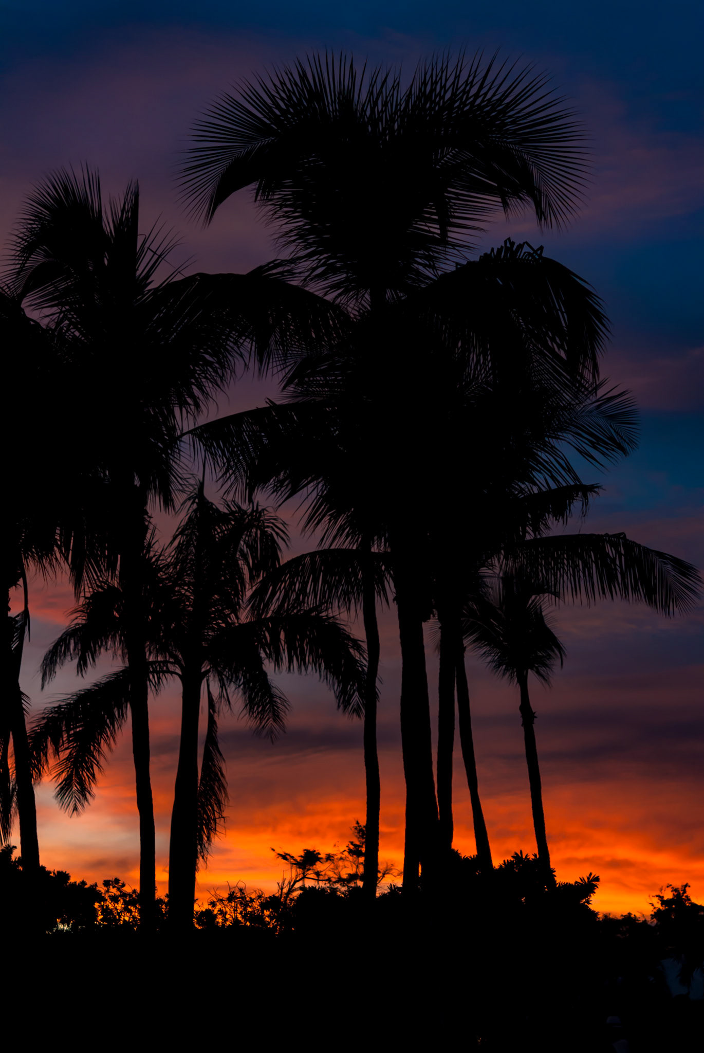 Club Med Punta Cana, République Dominicaine