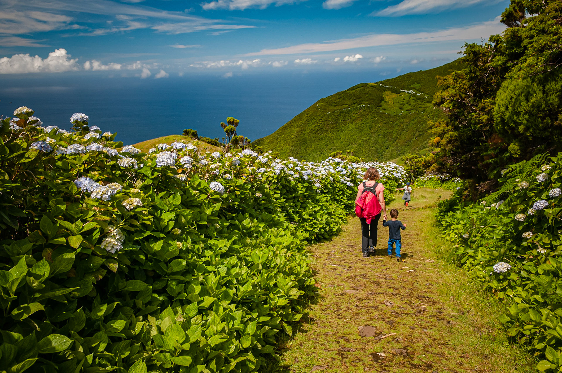 Trail Serra do Topo - Caldeira do Santo Cristo – Fajã dos Cubres, São Jorge