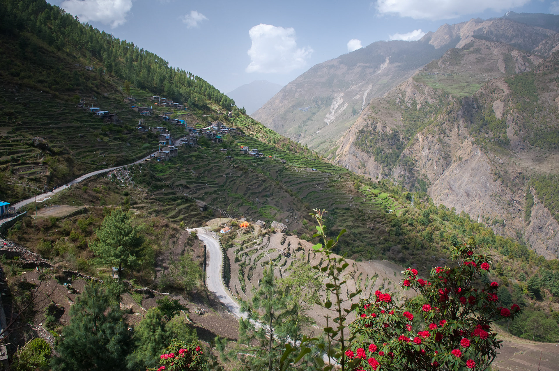 Entre Dhunche (1960m) et Thulo Syabru (2210m)
