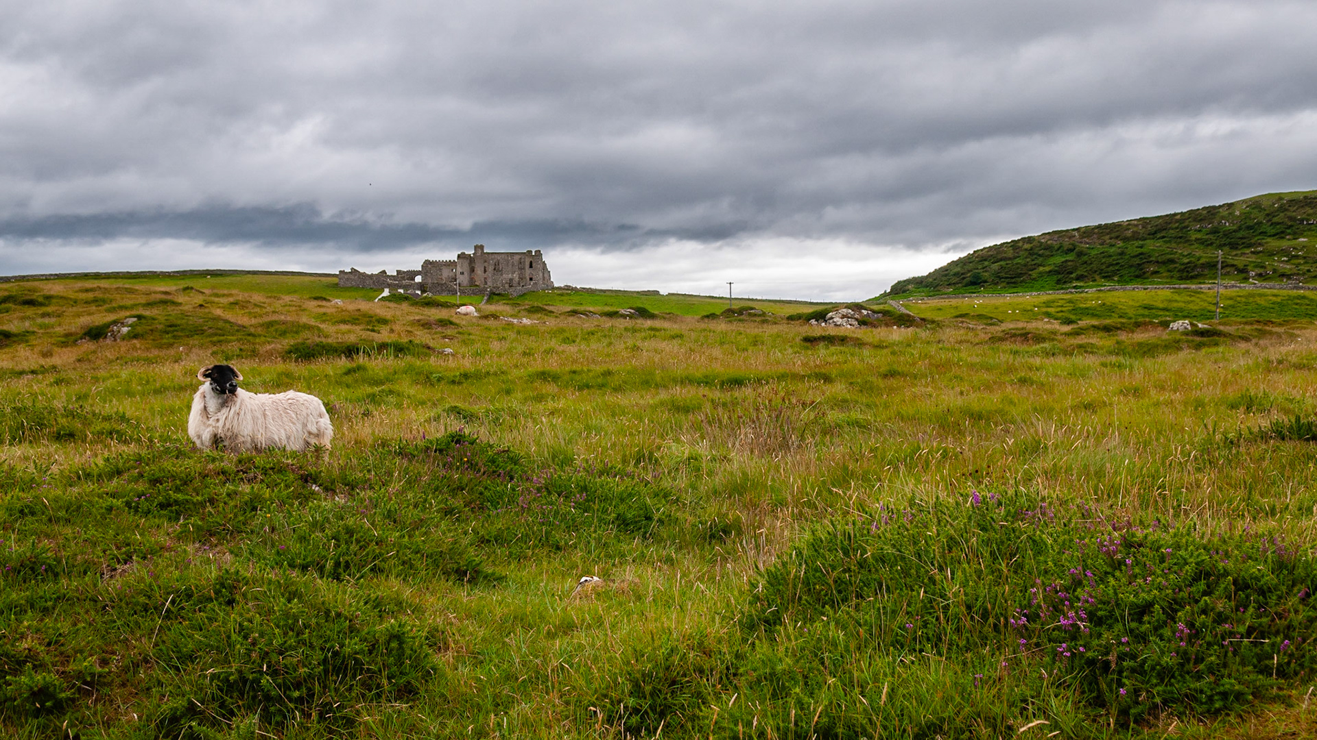 Bunowen Castle, County Galway