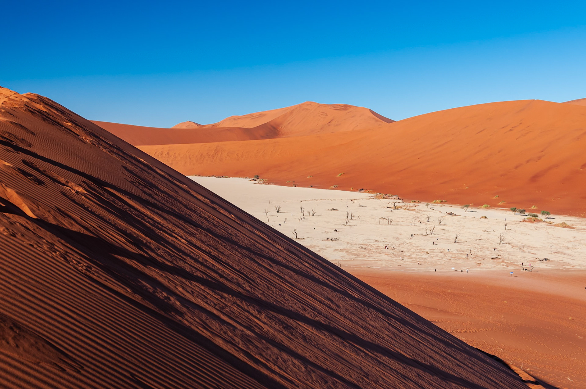 Dead Vlei, Sossusvlei