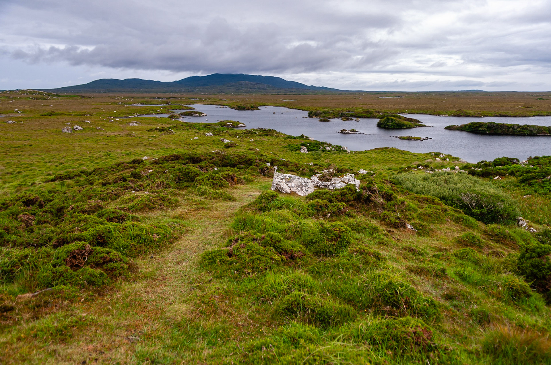 Bog road, County Galway