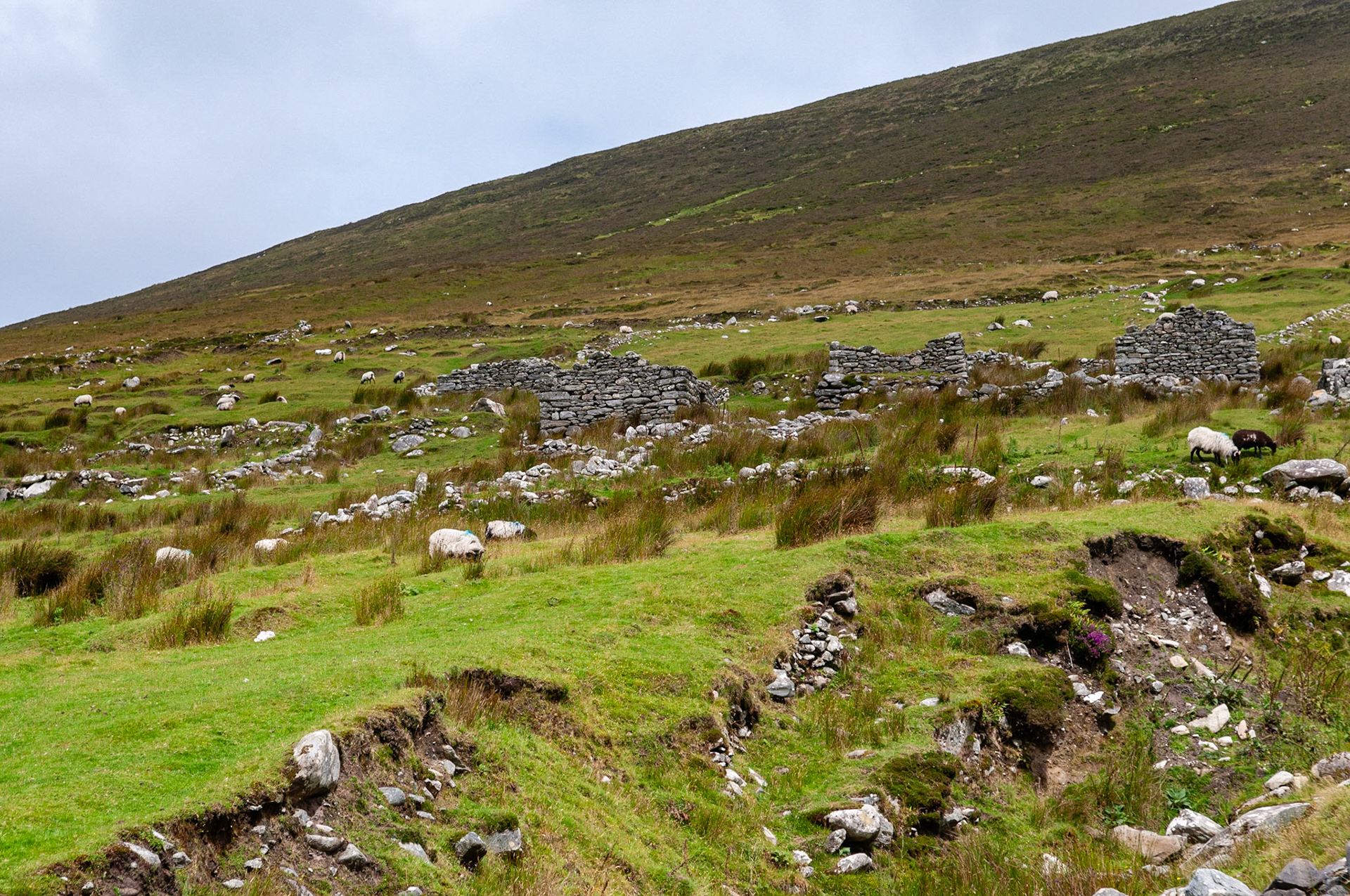 Deserted Village, Achilll Island, County Mayo