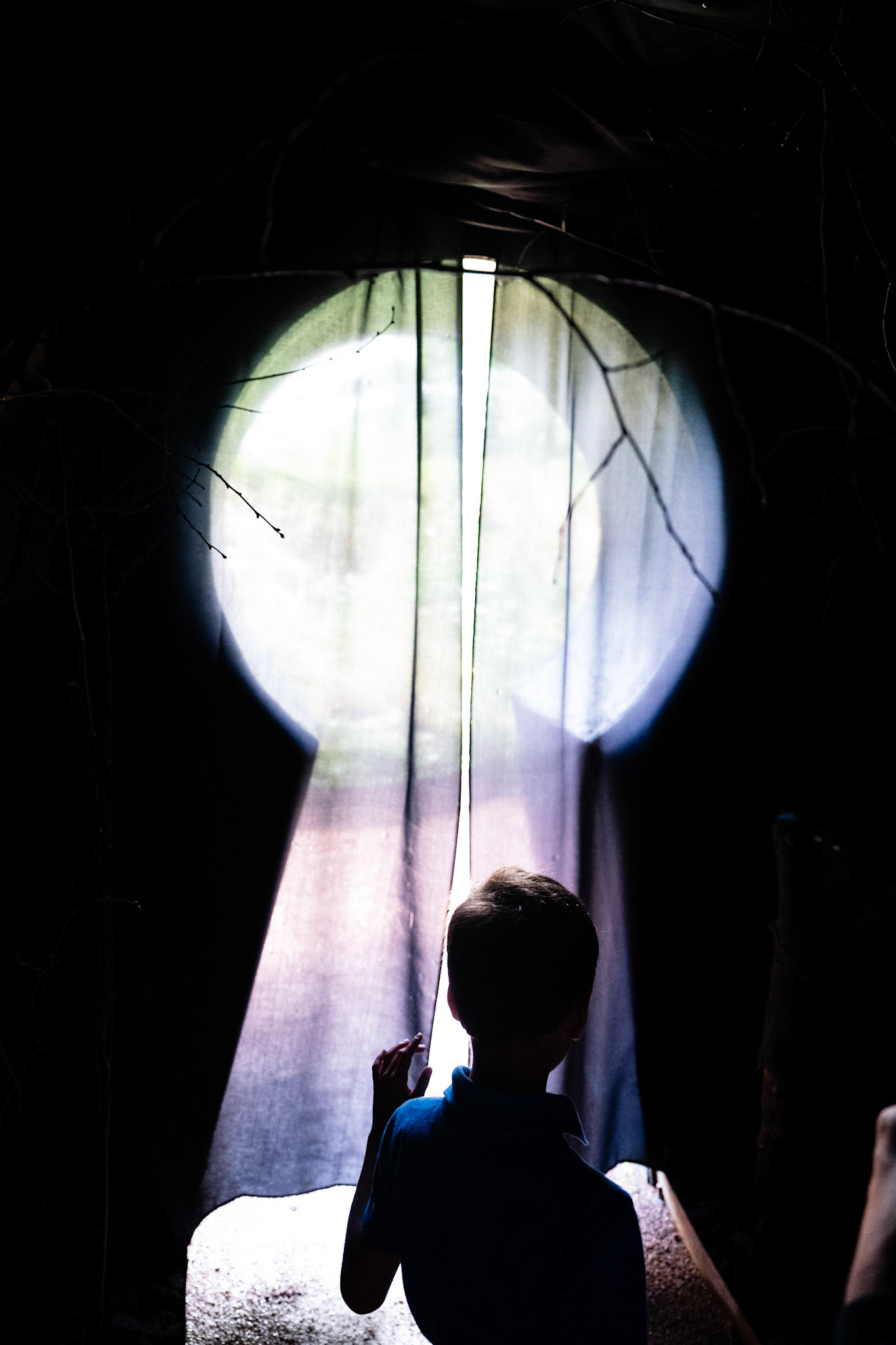 Domaine de Chaumont-sur-Loire