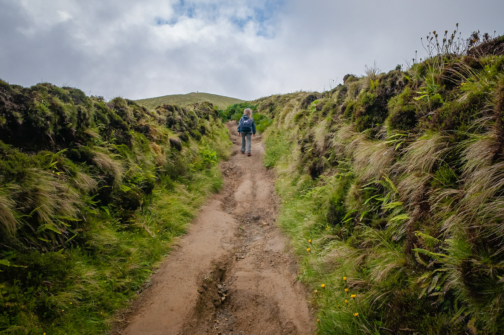 Trail Serra Devassa, São Miguel