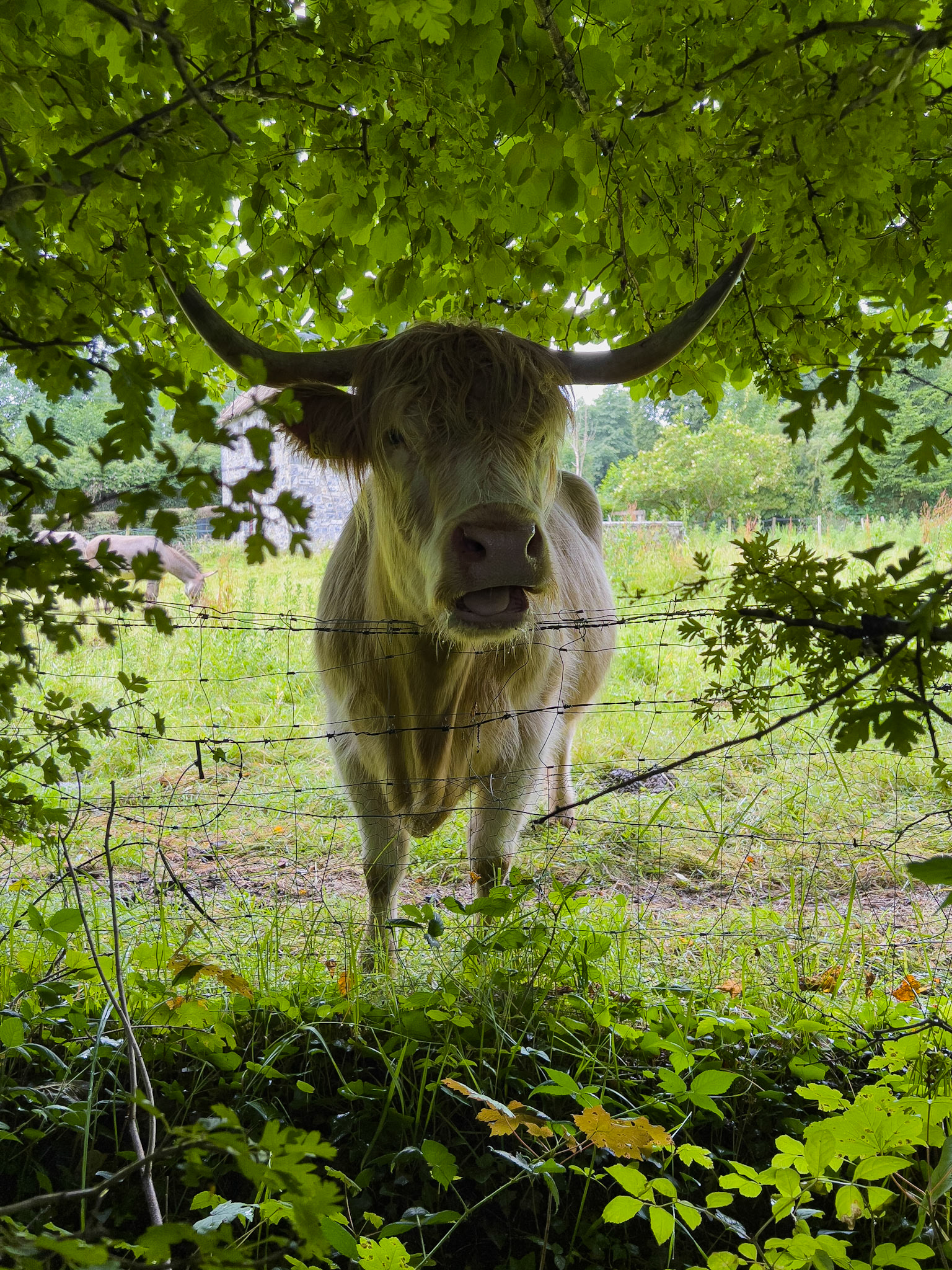 Bunratty Castle, County Clare