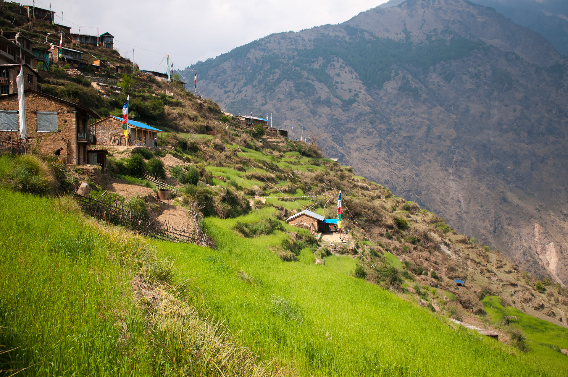 Thulo Syabru (2210m)