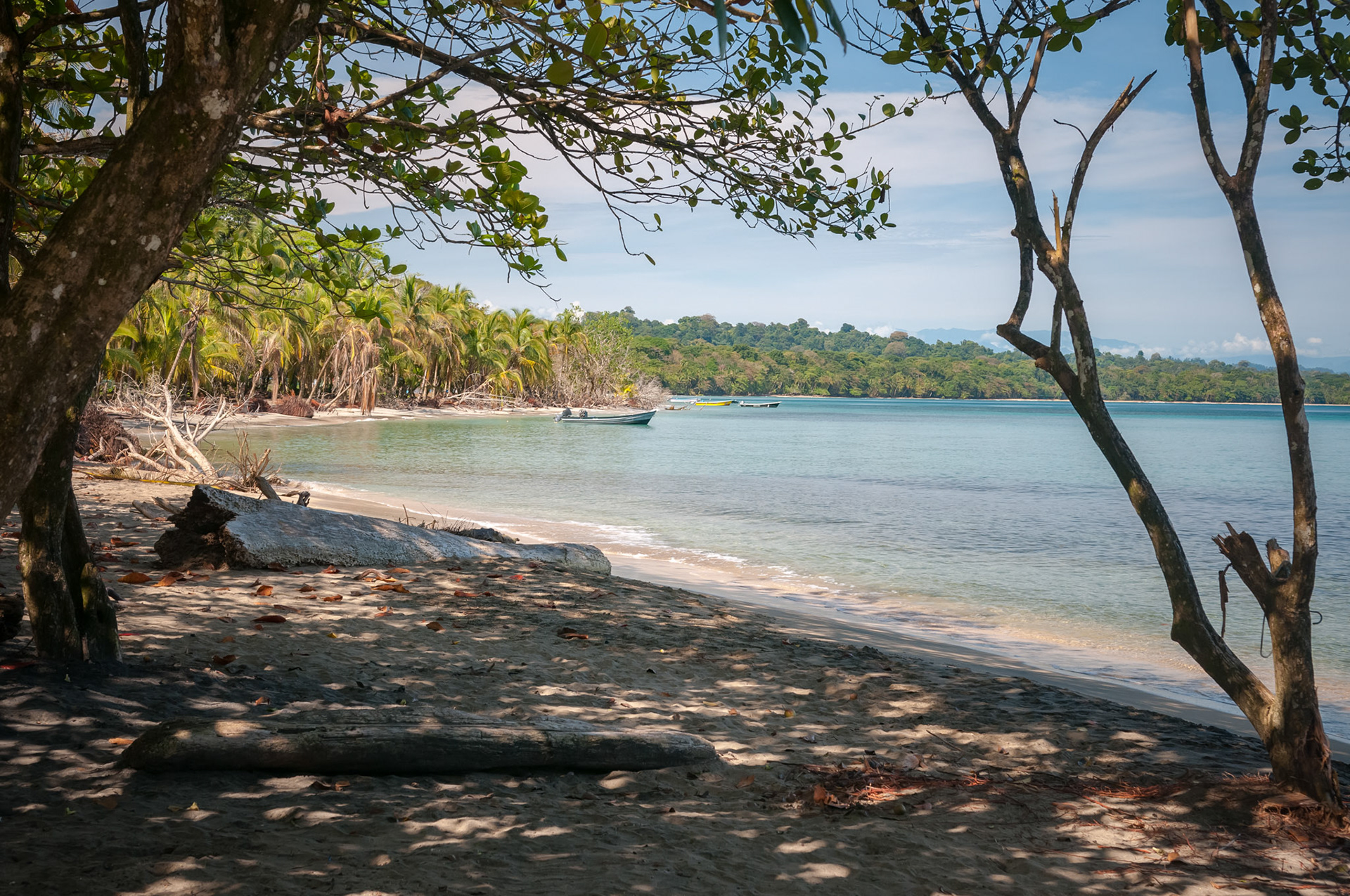 Refugio Nacional de Vida Silvestre Gandoca-Manzanillo