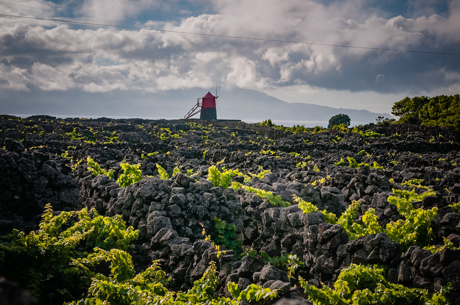 Criaçao Velha, Pico