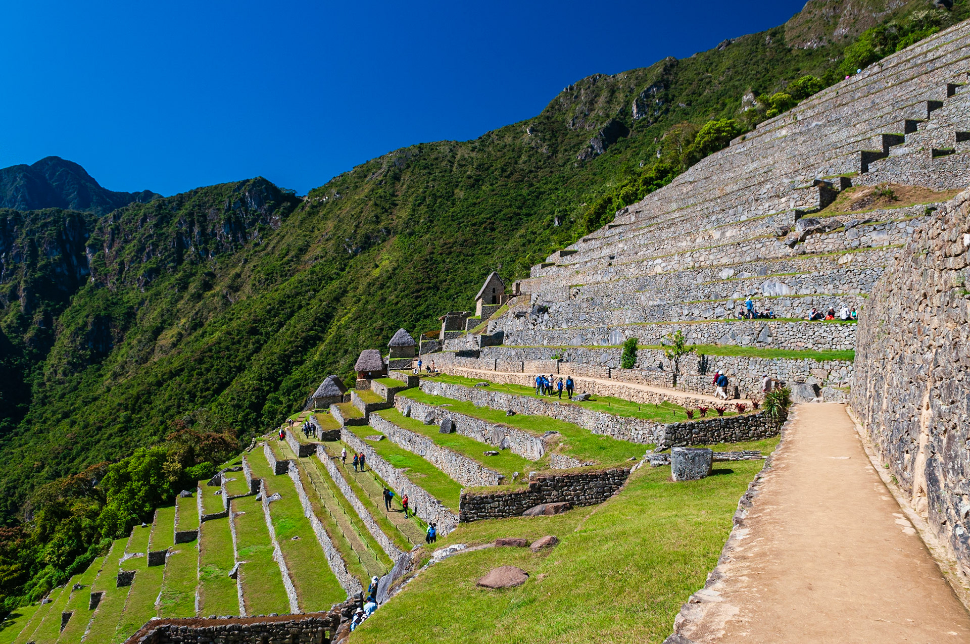 Machu Picchu
