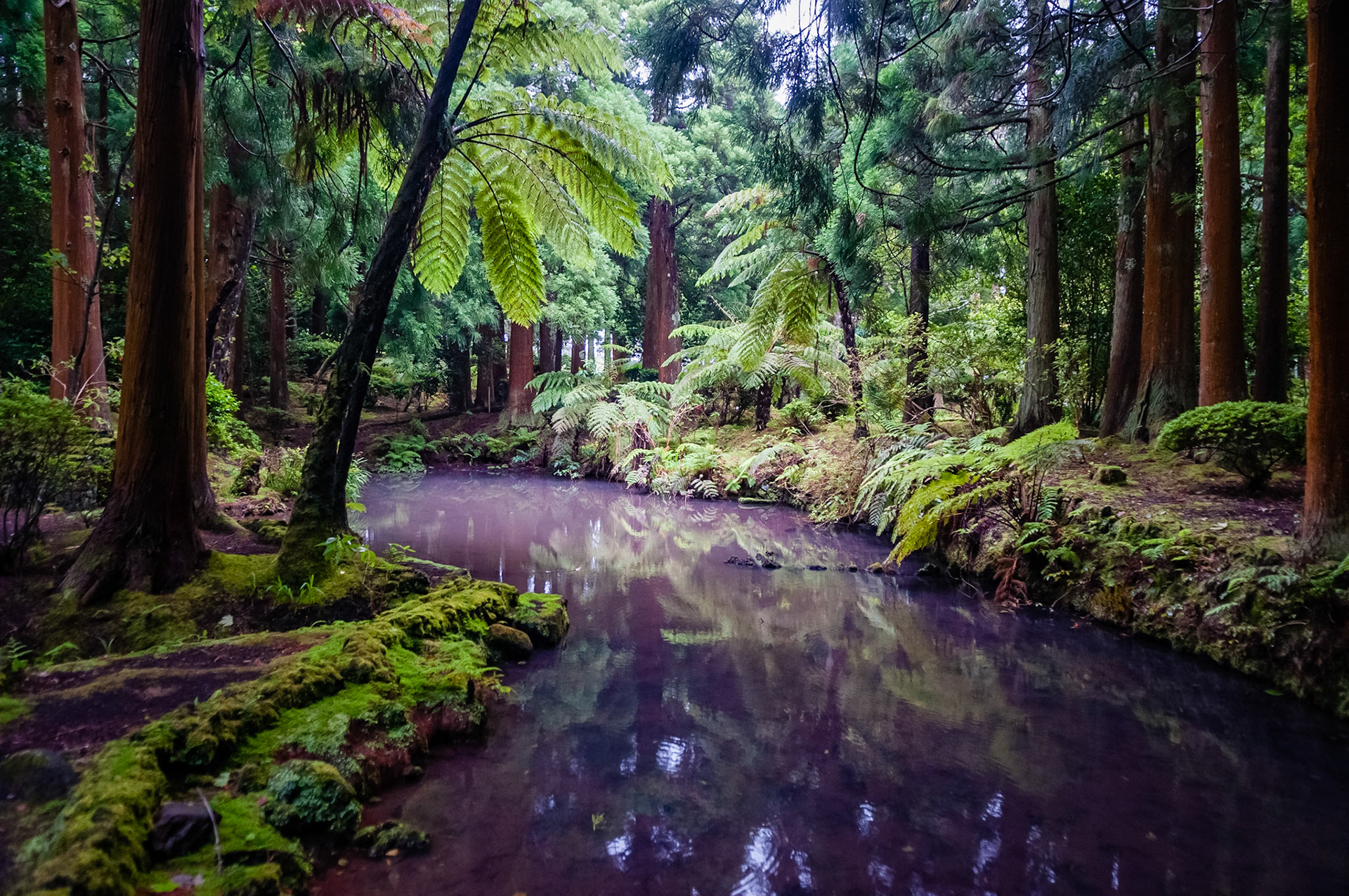 Parque Florestal das Sete Fonte, São Jorge