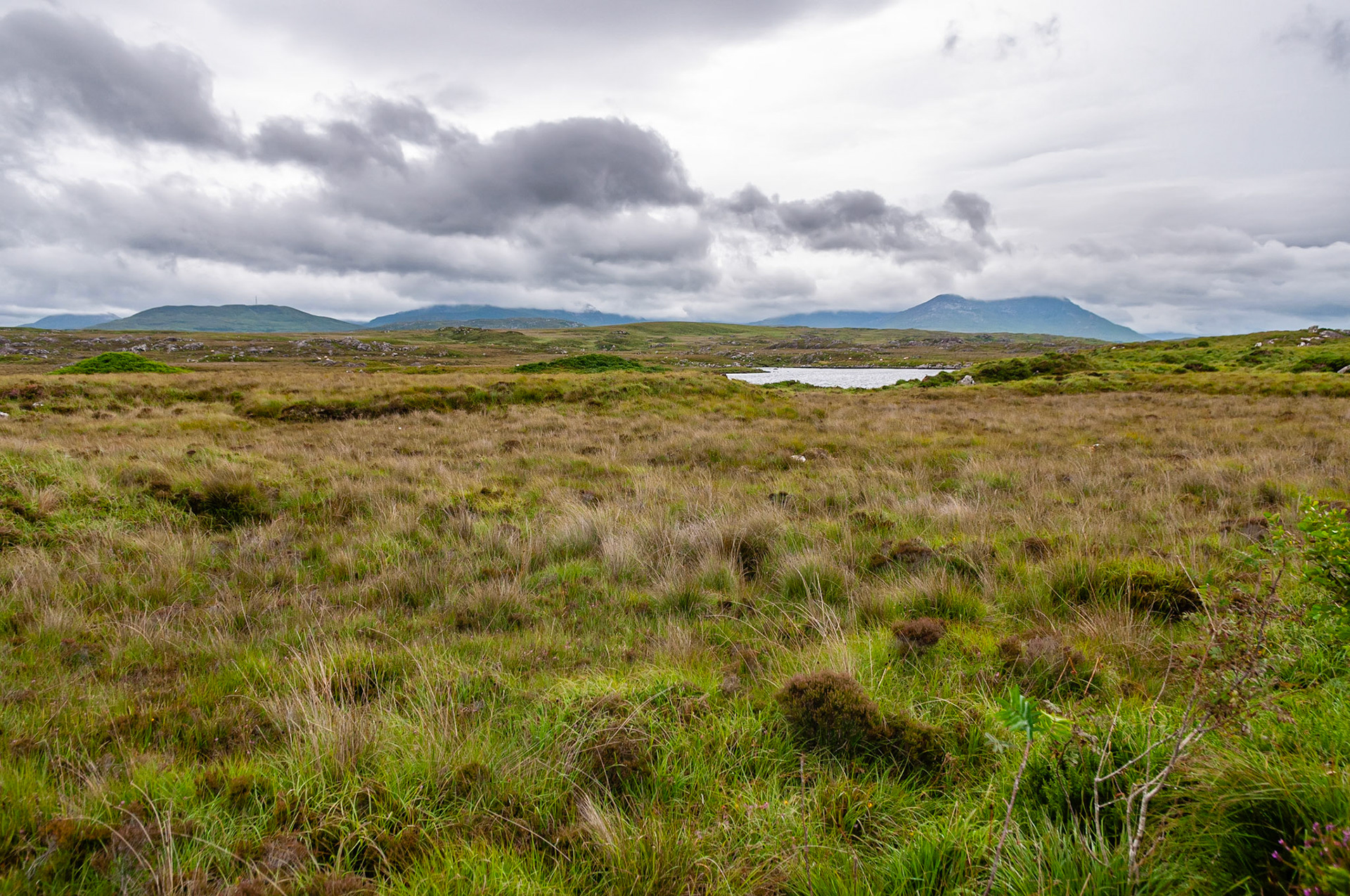 Bog road, County Galway