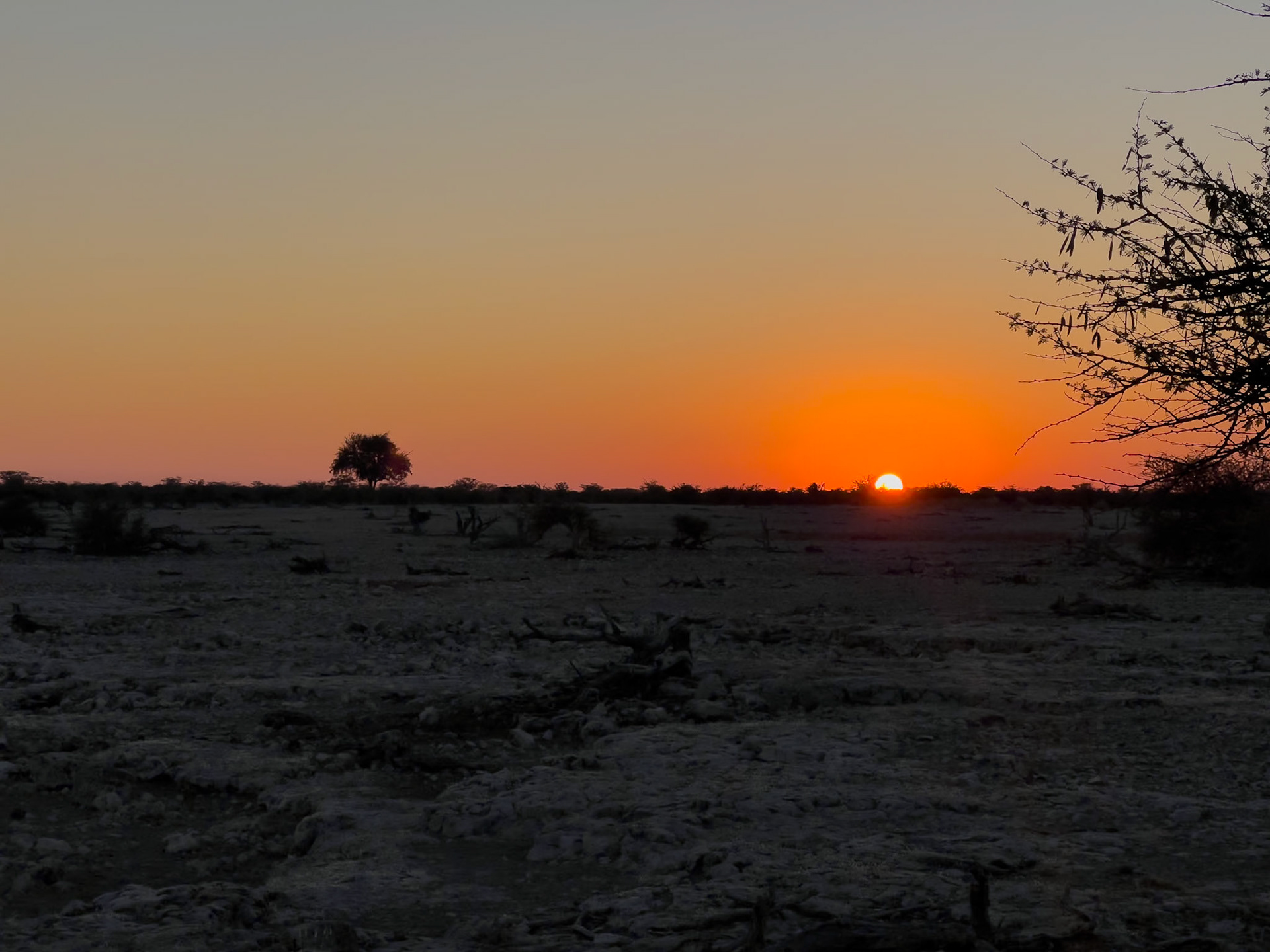 Okaukuejo, Etosha National Park