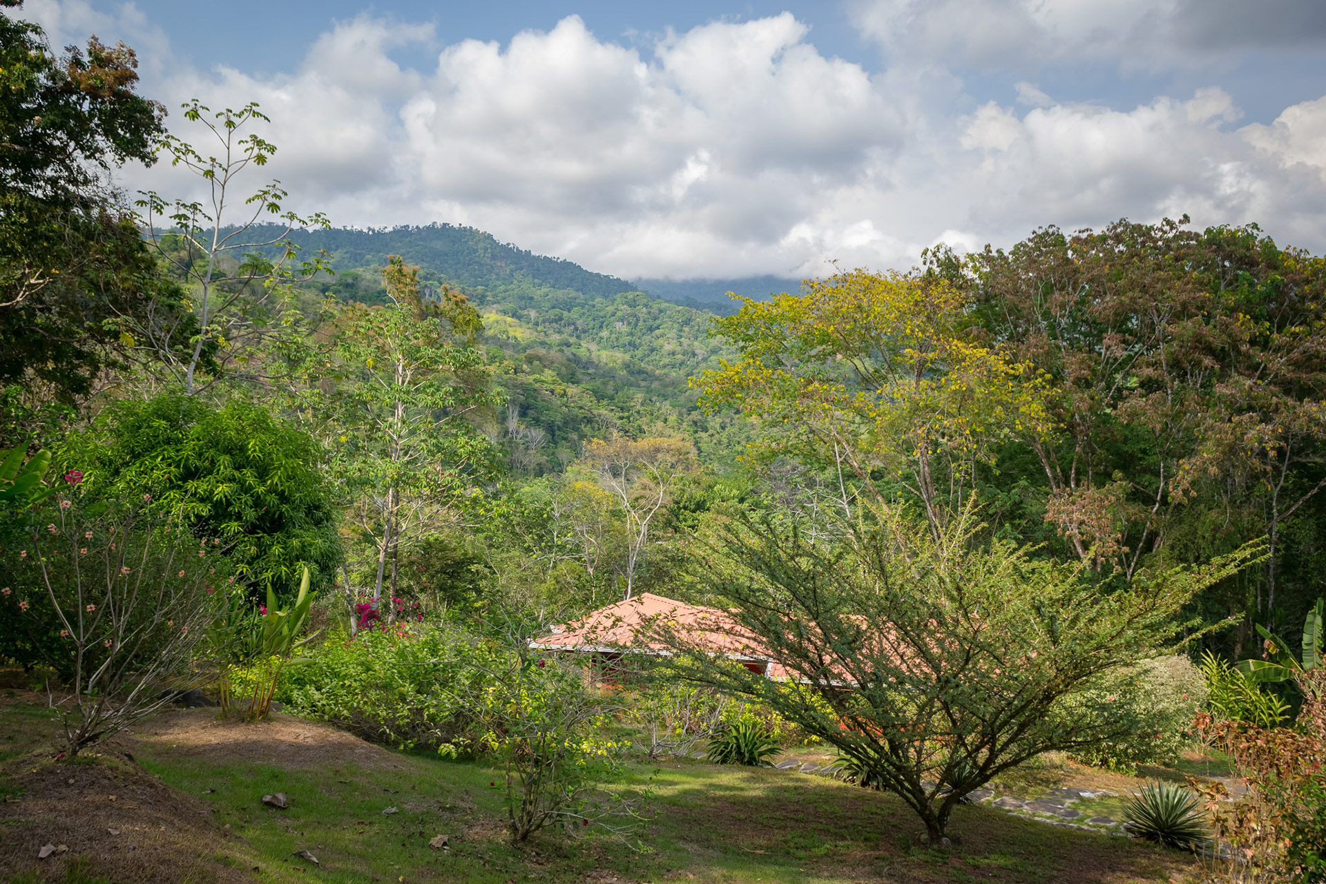 La Cacatua Lodge, Uvita Uvita