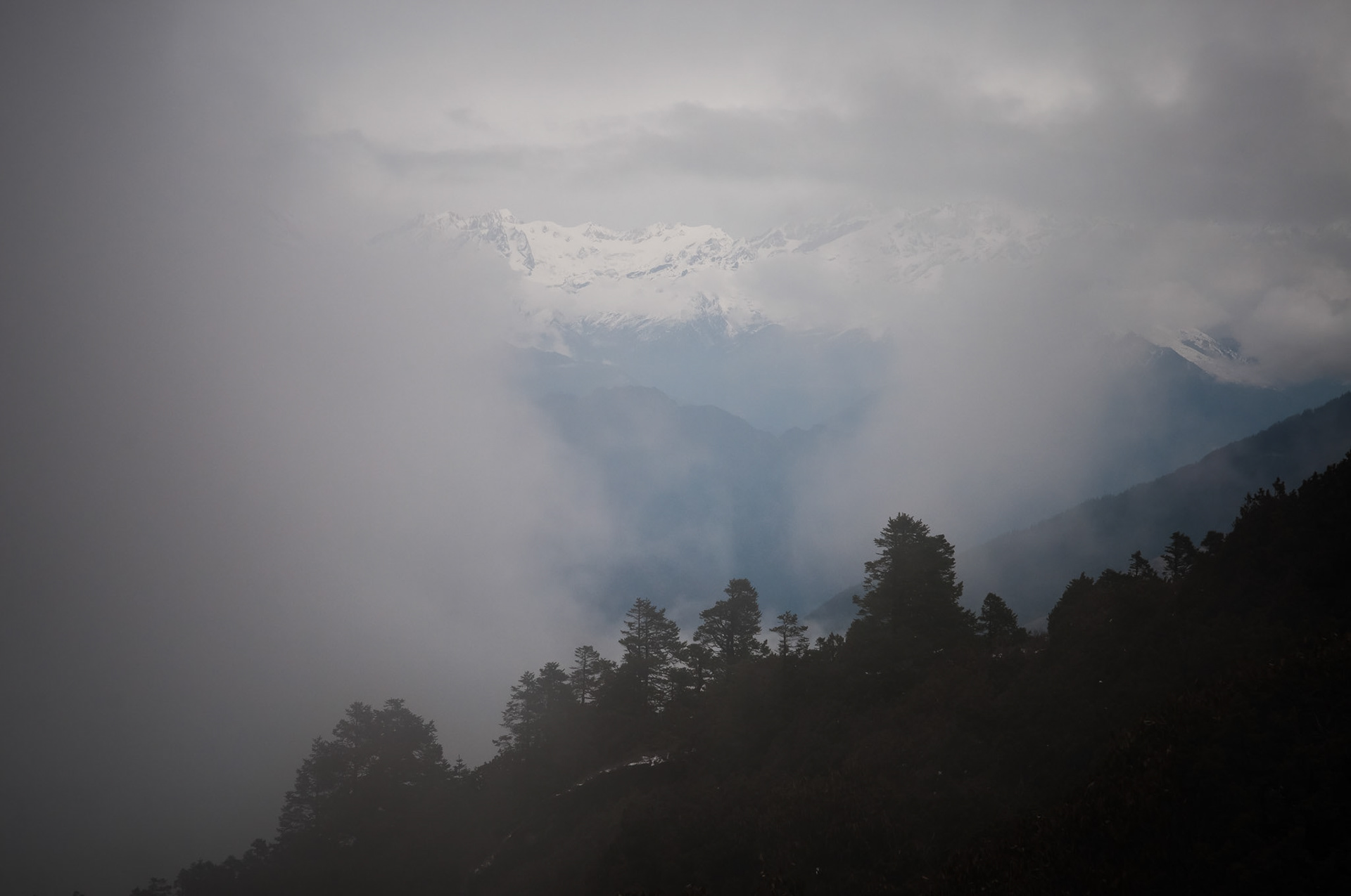 Entre Chandanbari (3330m) et Laurebina (3910m)