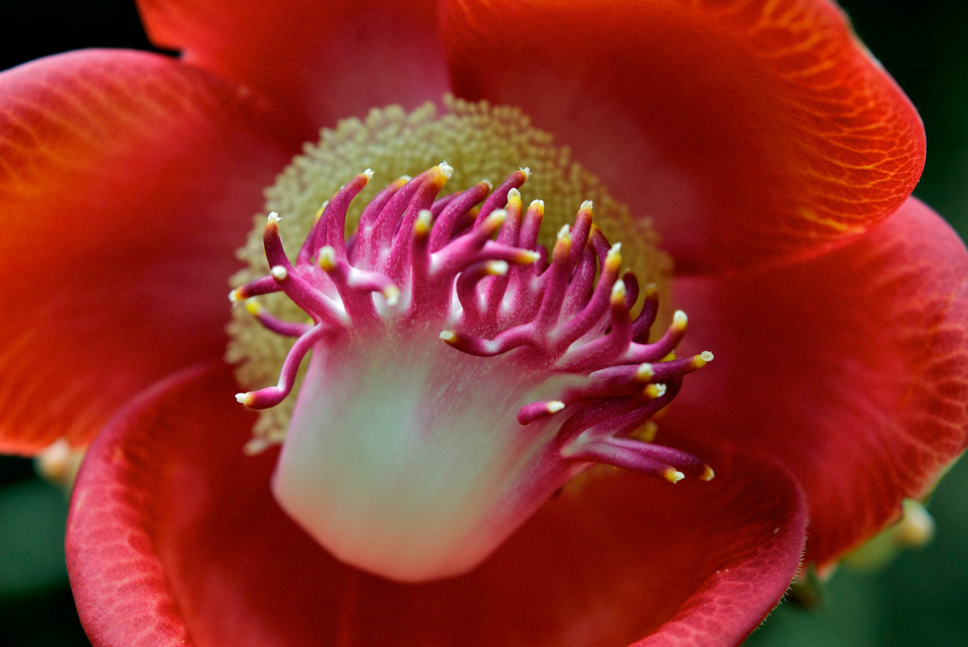 Jardim Botânico, Rio de Janeiro