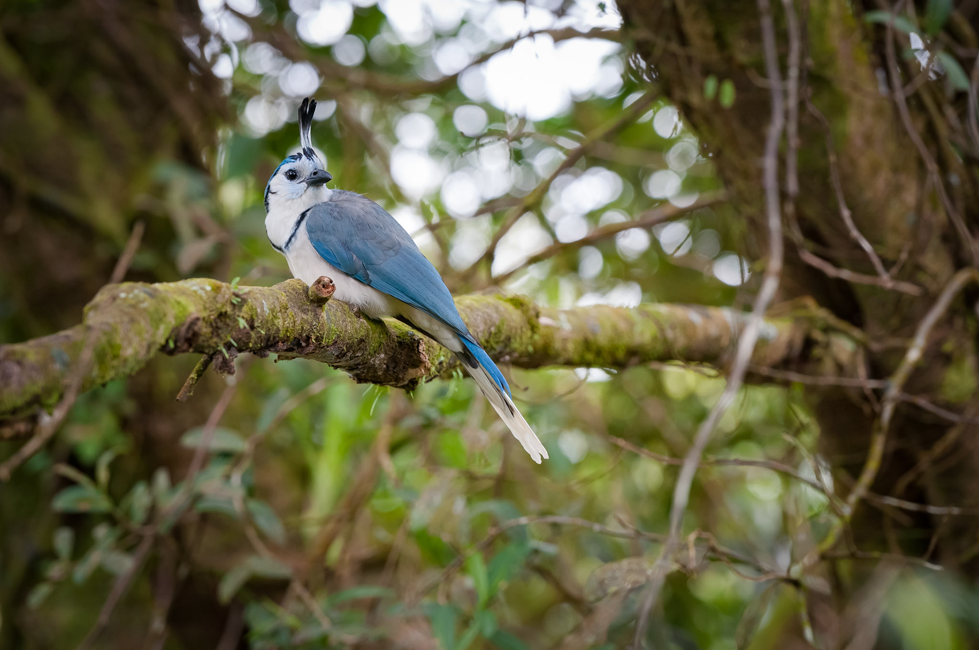 Parque National Volcan Arenal