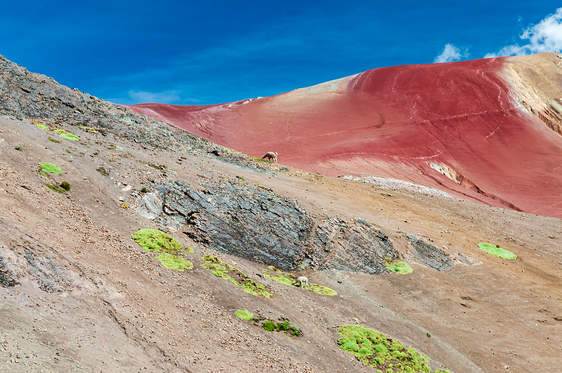 Rainbow Mountain, Vinicunca