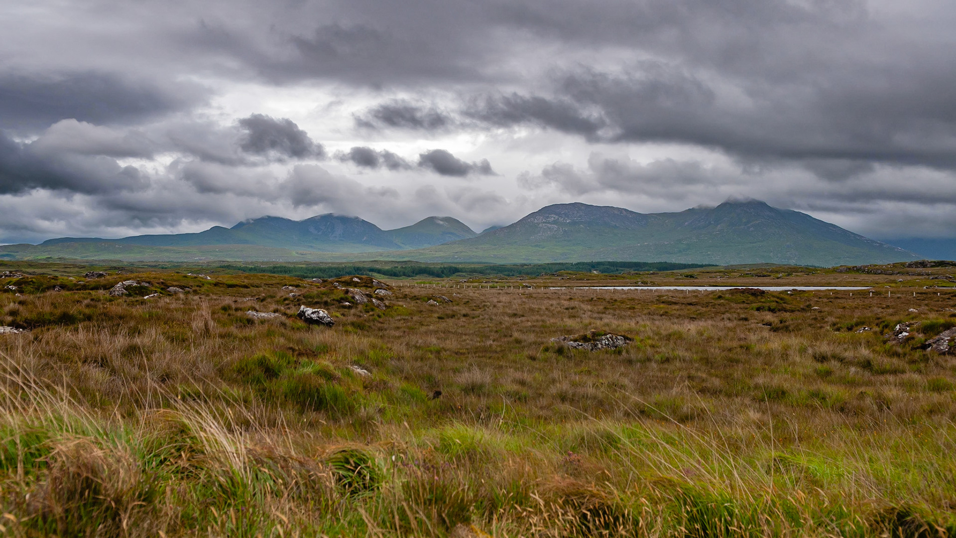 Bog road, County Galway