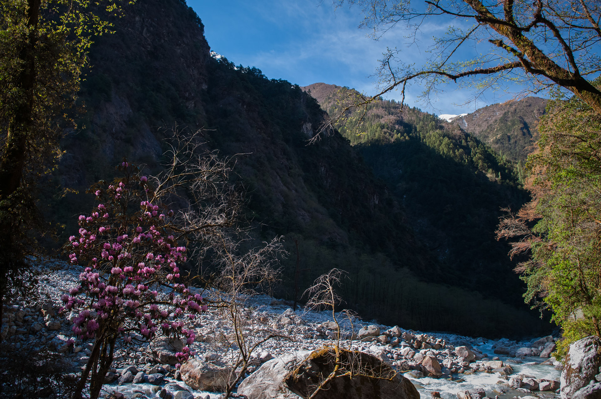 Entre Lama Hotel (2410m) et Langtang (3430m)