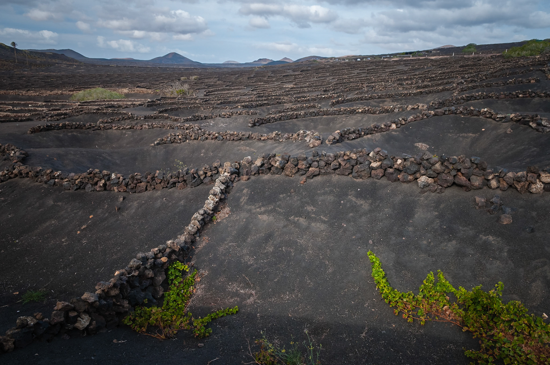 La Geria, Lanzarote