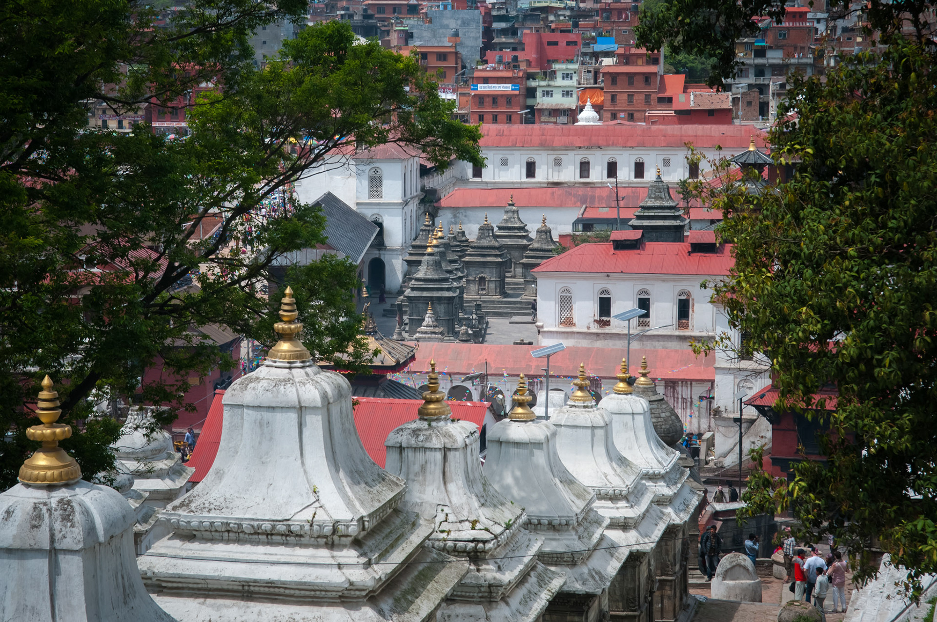 Temple hindou de Pashupatinath, Kathmandou
