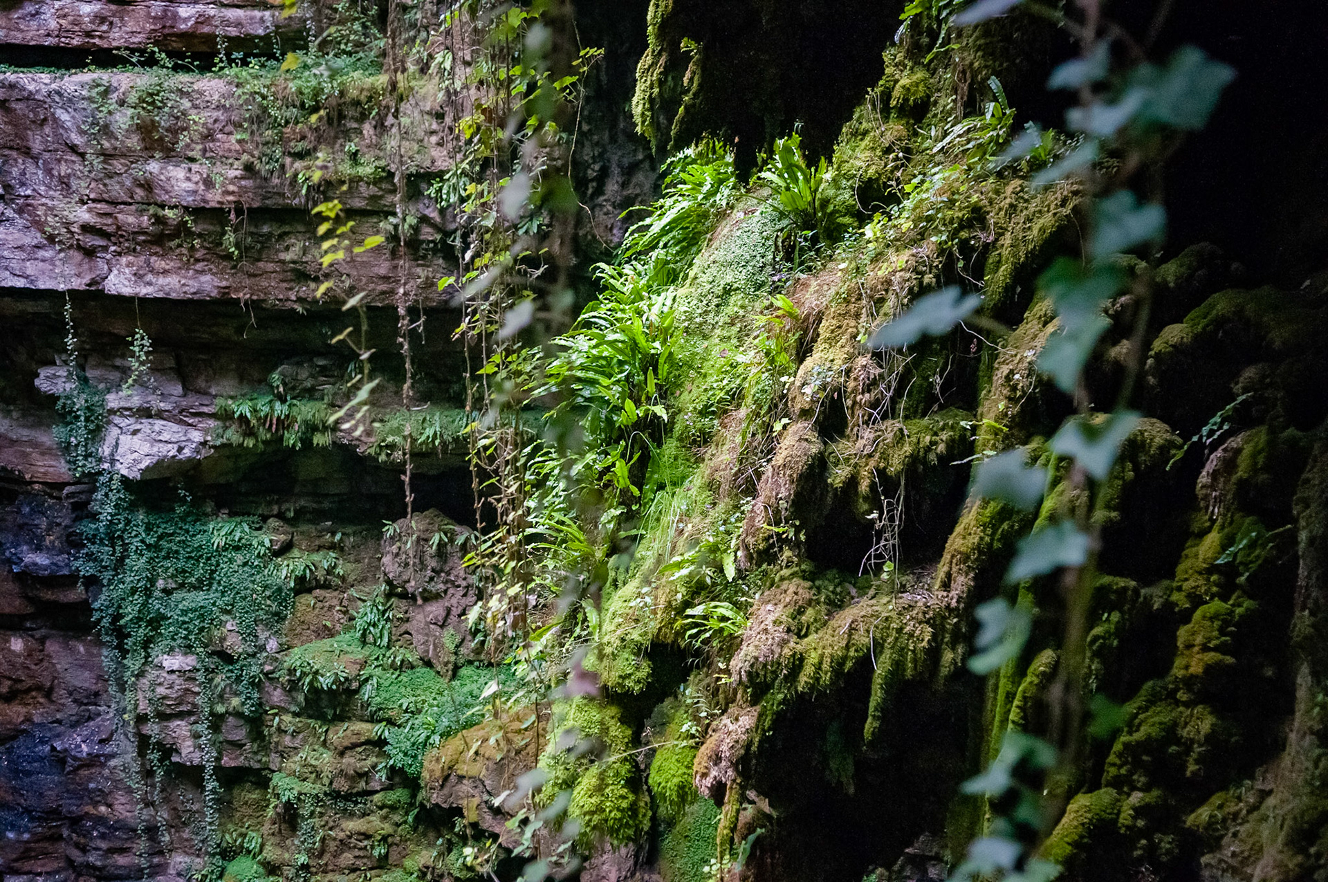 Gouffre de Padirac, Lot