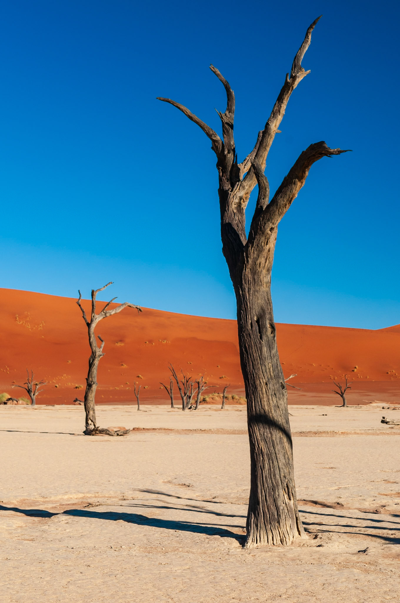 Dead Vlei, Sossusvlei