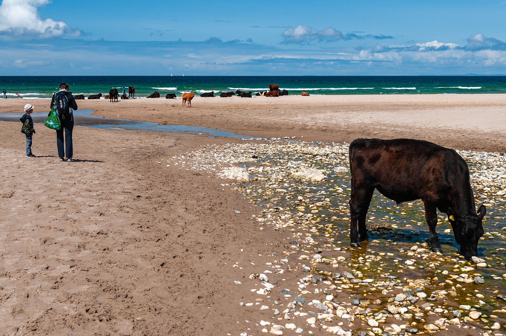 Whitepark Beach, North Ireland