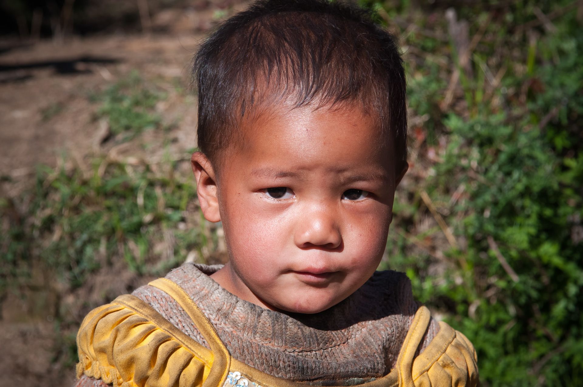 Entre Thulo Syabru (2210m) et Lama Hotel (2410m)