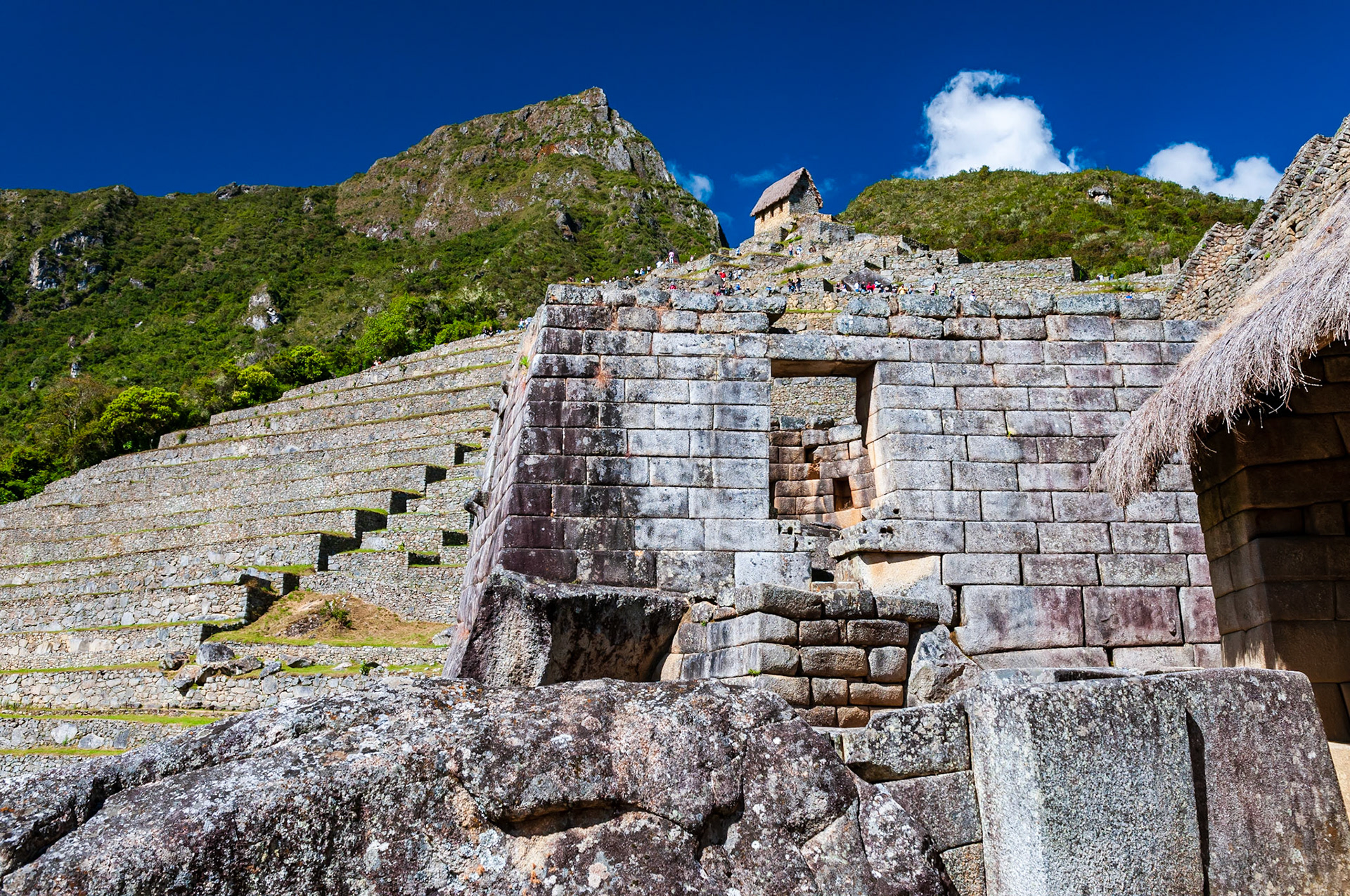 Machu Picchu