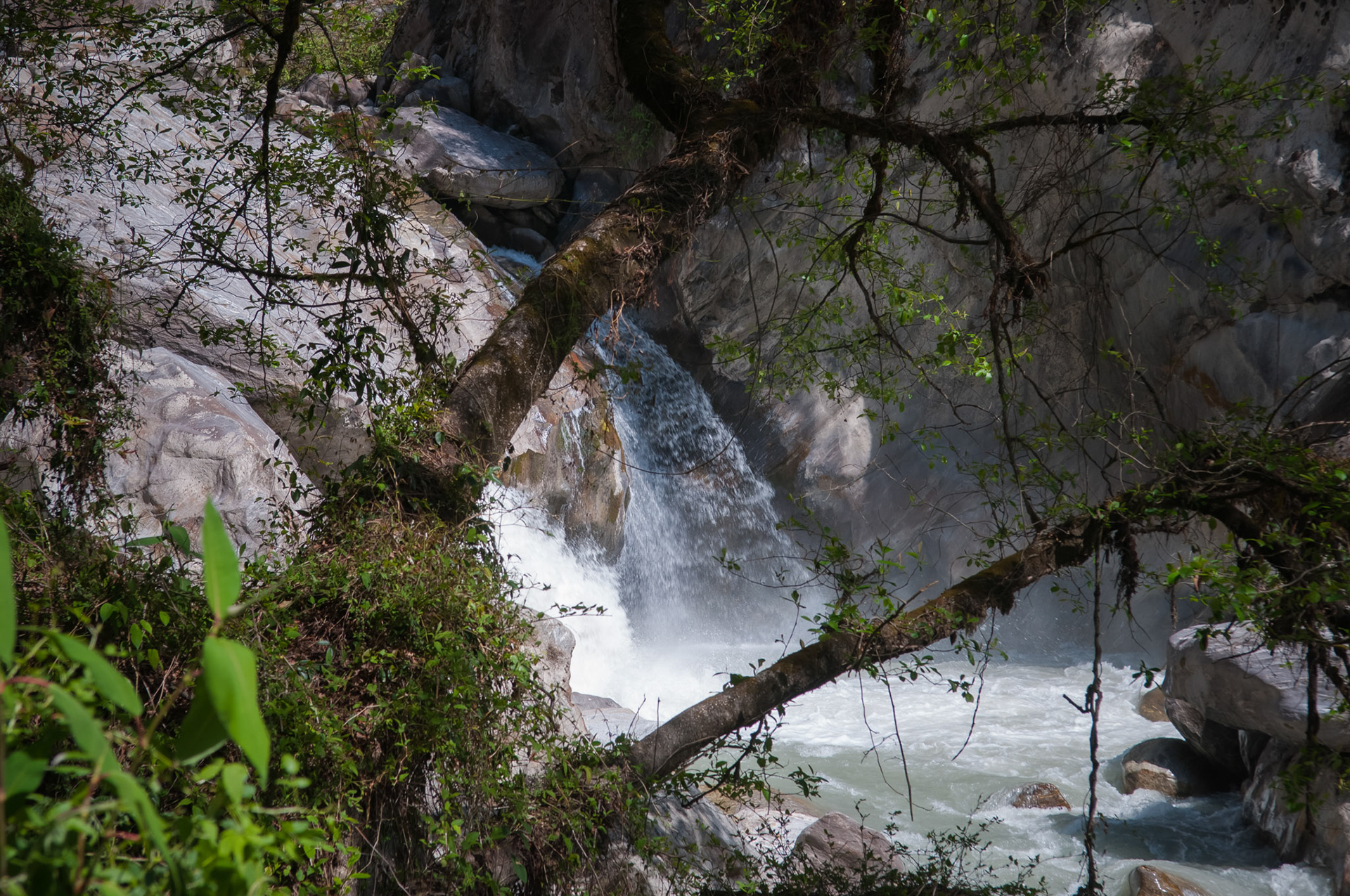 Entre Thulo Syabru (2210m) et Lama Hotel (2410m)